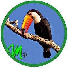 Visitemosmisiones.com