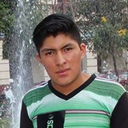 Marco Alejandro Llivicura’s avatar