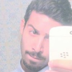 Abdallah M Al Saltii