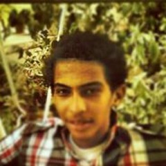 Abdualrhman M Elsayed