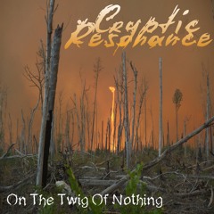 Cryptic Resonance