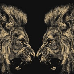 LION.TWINS