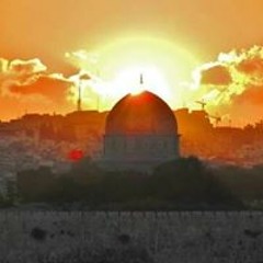 Israa Mosaad