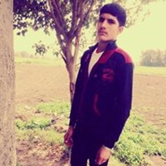 Mohamed E L Menzlawy