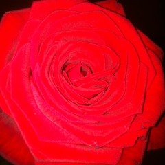 Charli ft. Mista Ye - Maniac