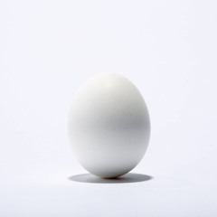 EggsplosivE