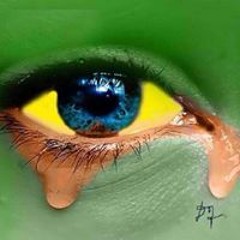 Márcio Mendes Rocha