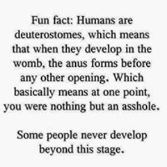 Ronald Razzy Deterville