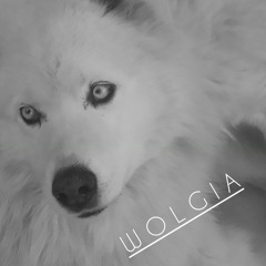 Wolgia