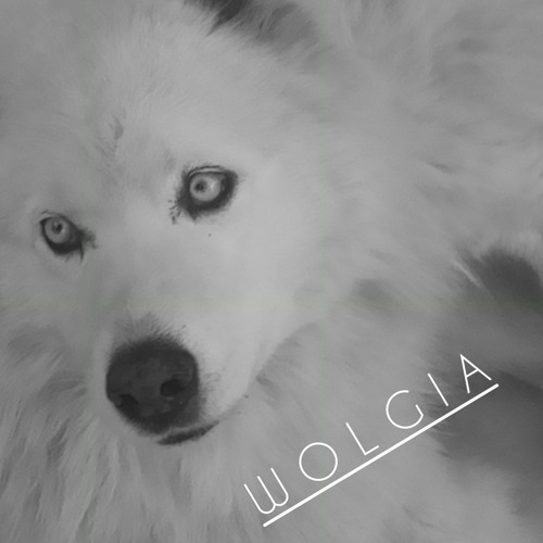 Wolgia’s avatar