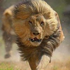 Mahmou Ana