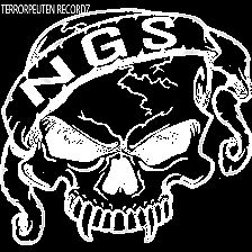 NGS - FCK RASA ( NO Mastering )