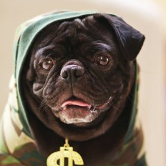 YUNG PUG