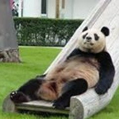 Bernt Morgan Andersen