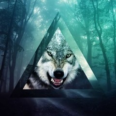 Wolf Prog Project