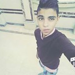 Belal M. Mohamed