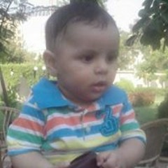 amir afify