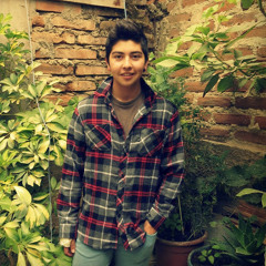 pedro vergara