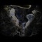 Myzel (Soundscapes)