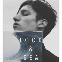 Look & Sea Discography