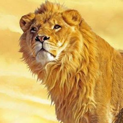A🦁