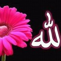 Doaa Samir