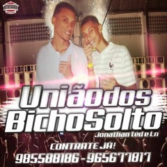 == ENTÃO TÁ , PUTARIA VAI ROLAR 2014 [ BAILE DO MARTINS ] {{ DJ LC DO MARTINS }}