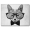 CattyChaos