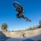 Mitchell Wadwell