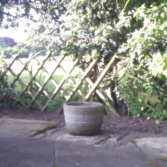 Got bored so i made chinese dubstep