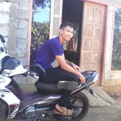 Arie Yanto