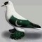 Fazal Ahmed