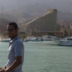 Mohamed Fares 31