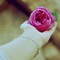 Amira Elshenawy