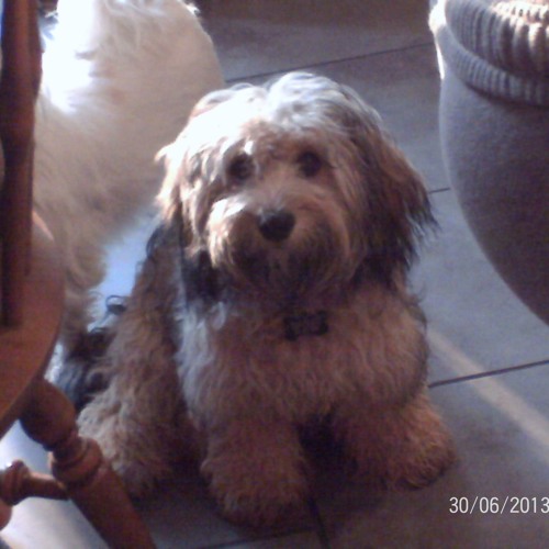 God Is On The Move - 7eventh Time Down