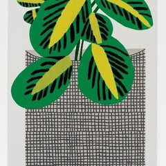 la playa en el espacio