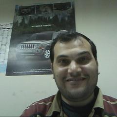 Mohamed Anas Elwogood
