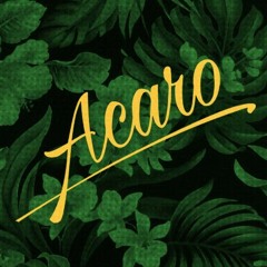 An Eclectic Collection by