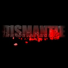 Rise Against Sudden Life Acoustic Cover (Instrumental)