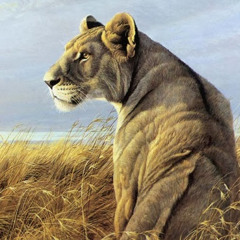 Ibrahem Shosha