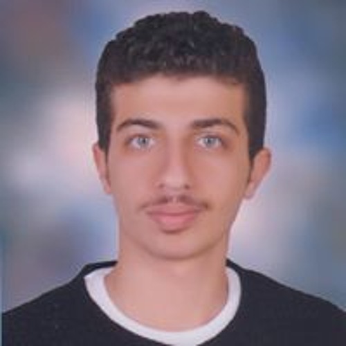 Hany Shokry’s avatar