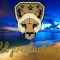 ld productions