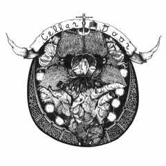 Cellardoor