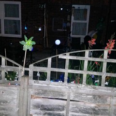 Bascilia Greene-Manja