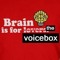 voiceboxbrain