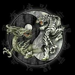 Ozmar Cachique Arirama