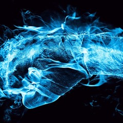 GHOSTBAT123