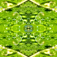 Atomz