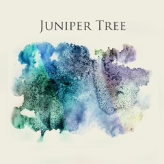 Juniper Tree