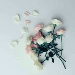 عبدالرحمن العوسي